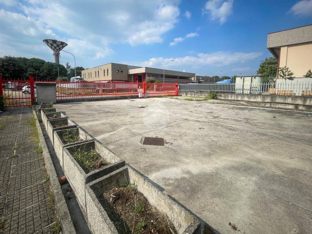 immagine annuncio 12 di 15