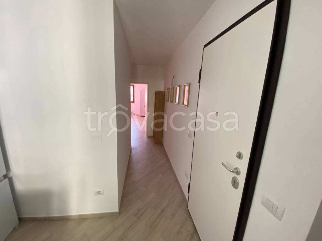 immagine annuncio 2 di 8