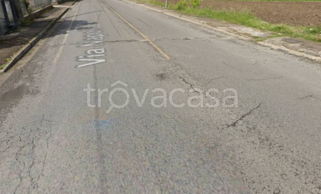 immagine annuncio 5 di 11