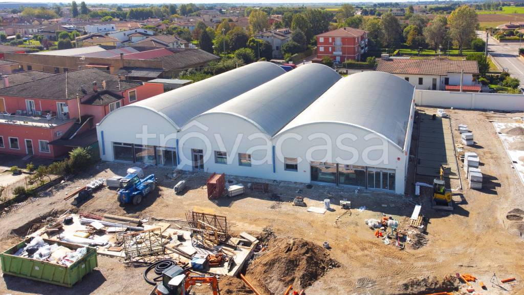 immagine annuncio 2 di 7