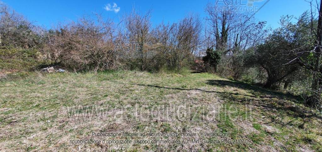 immagine annuncio 4 di 9