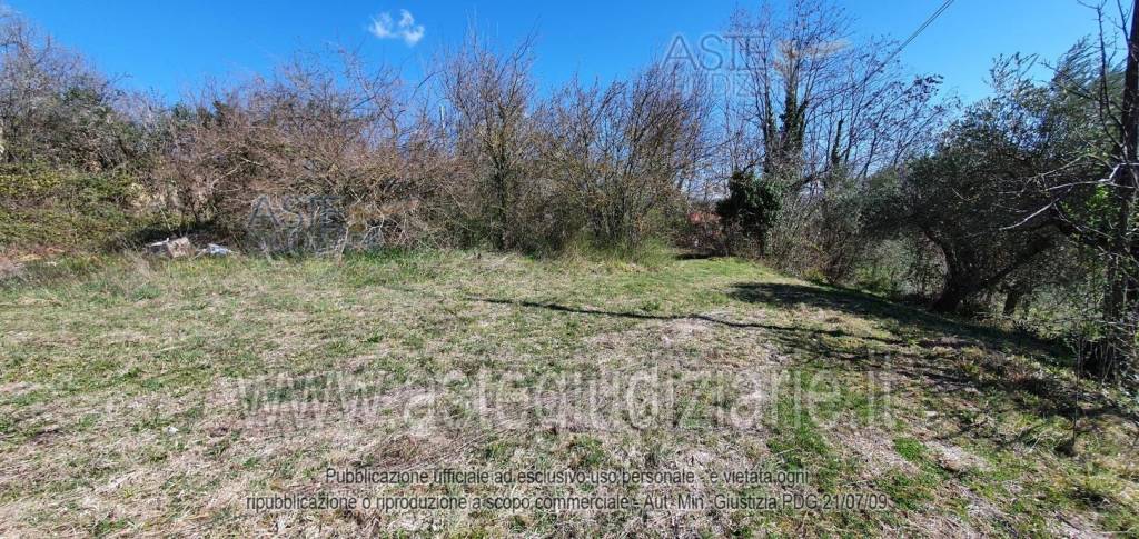 immagine annuncio 5 di 9