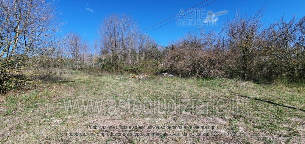 immagine annuncio 6 di 9