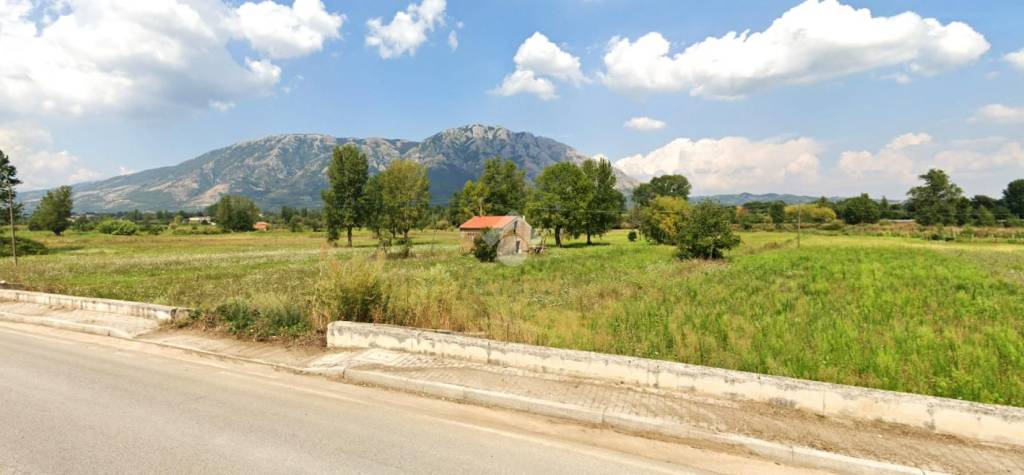 immagine annuncio 6 di 8