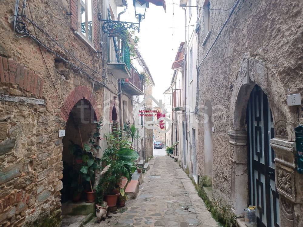 immagine annuncio 9 di 14