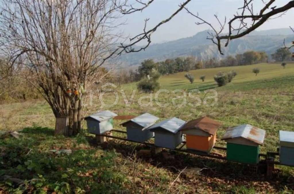 immagine annuncio 2 di 7