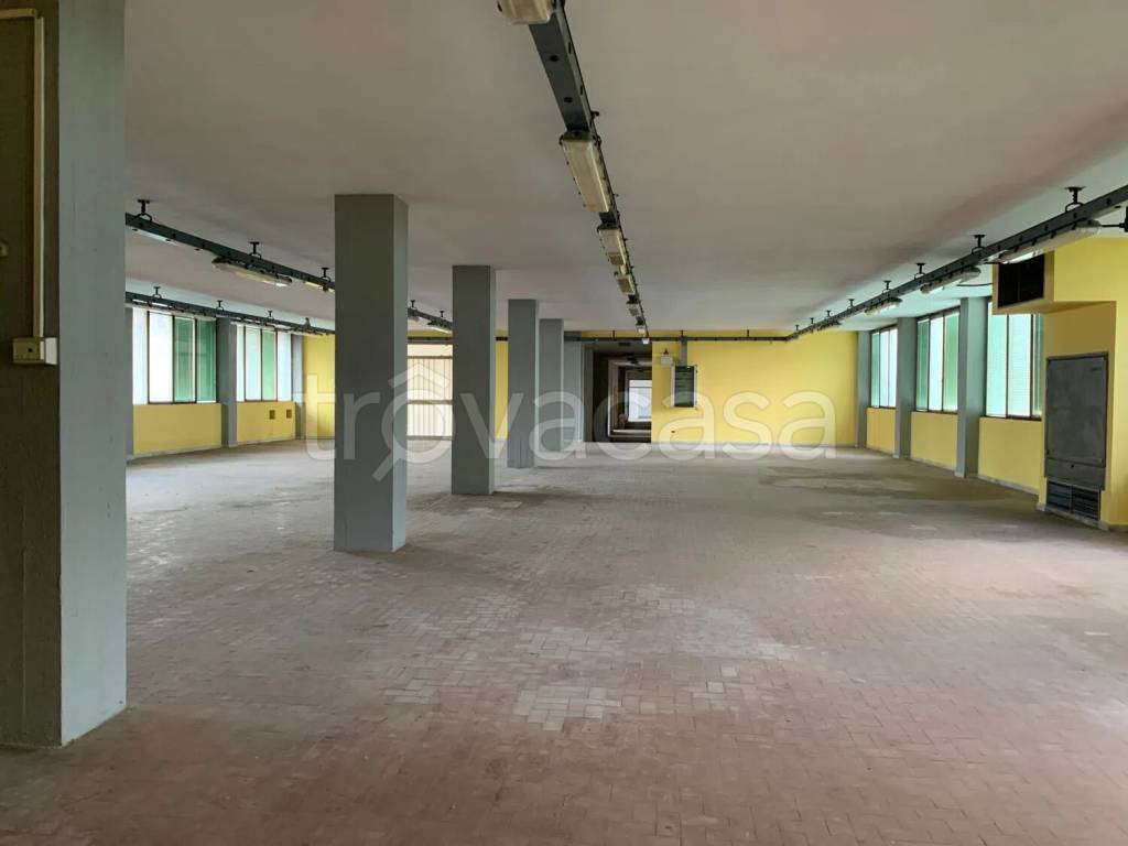 immagine annuncio 1 di 9