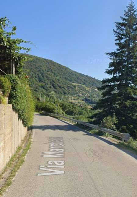 immagine annuncio 4 di 14
