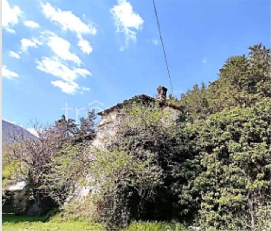 immagine annuncio 7 di 13