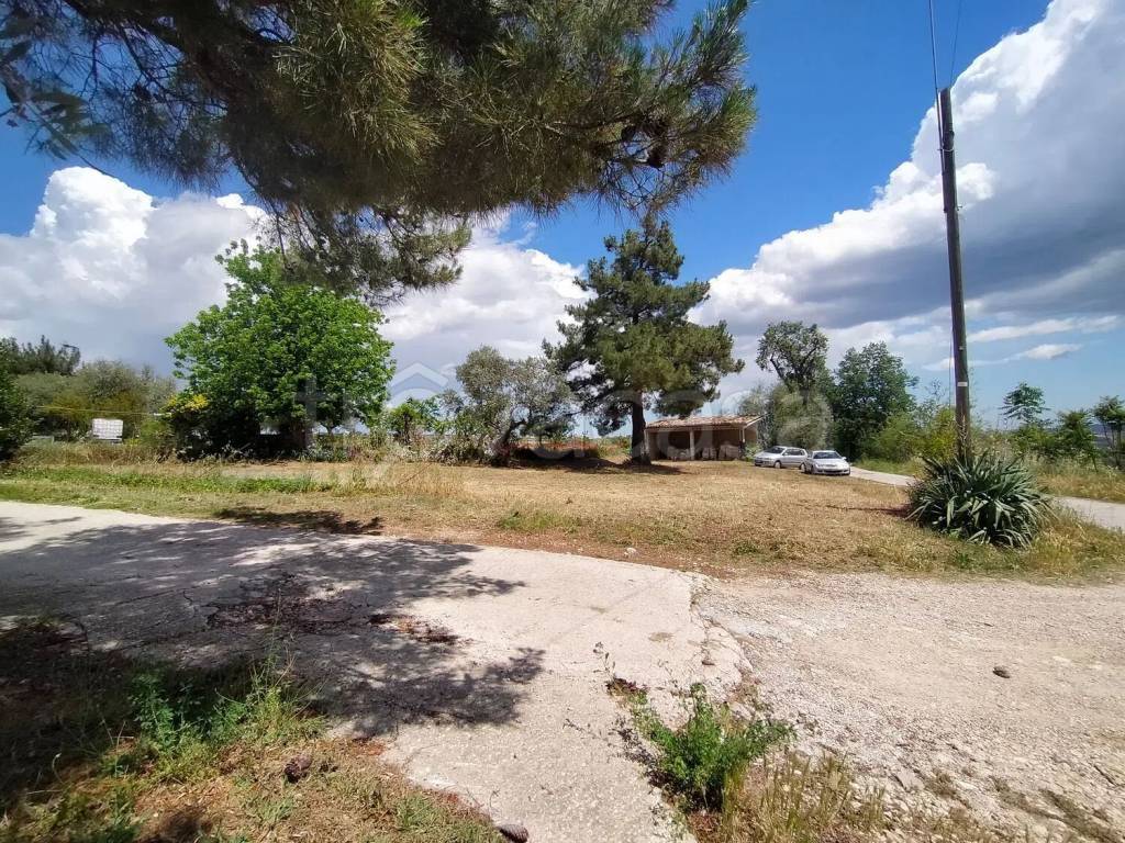 immagine annuncio 2 di 8