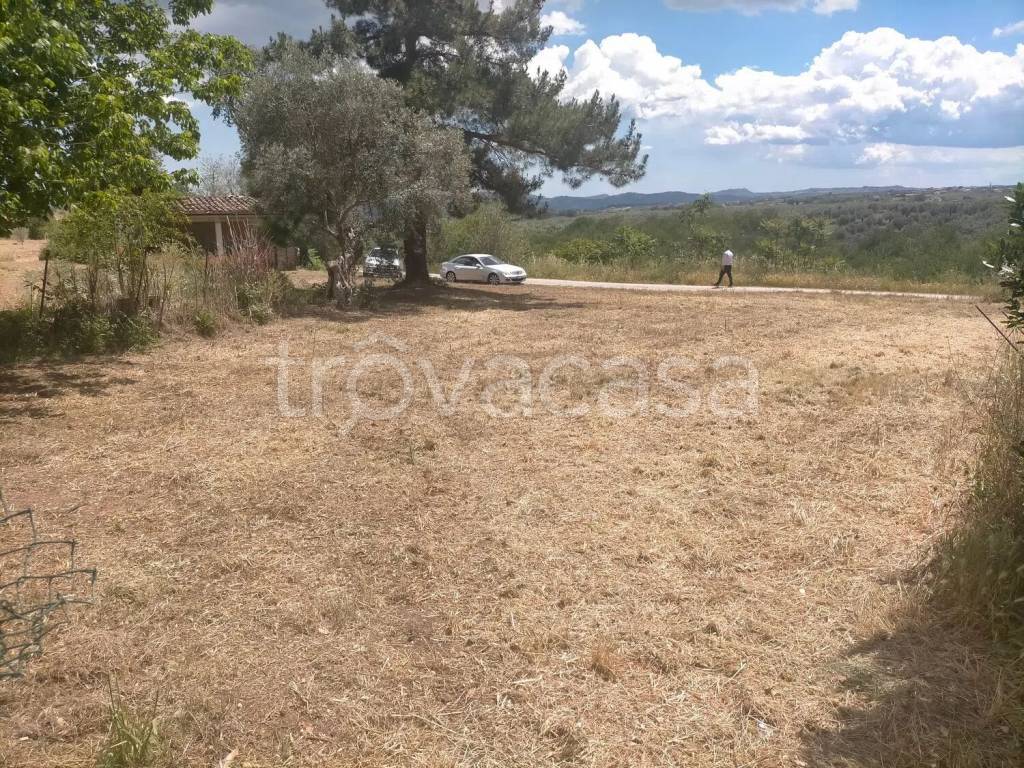 immagine annuncio 4 di 8