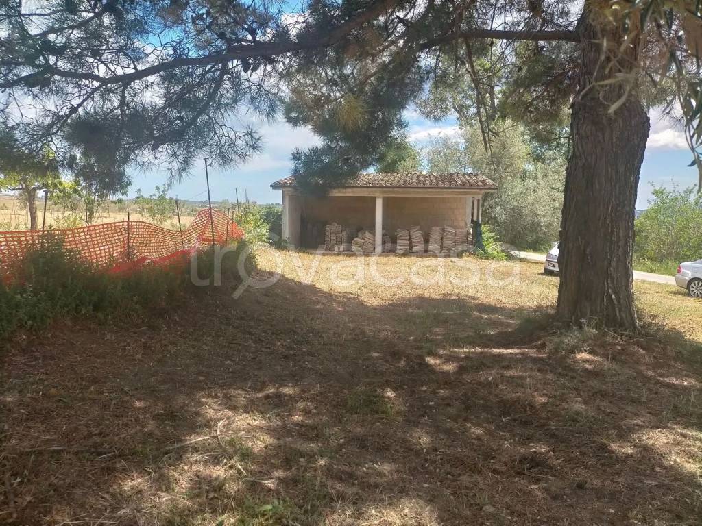 immagine annuncio 5 di 8