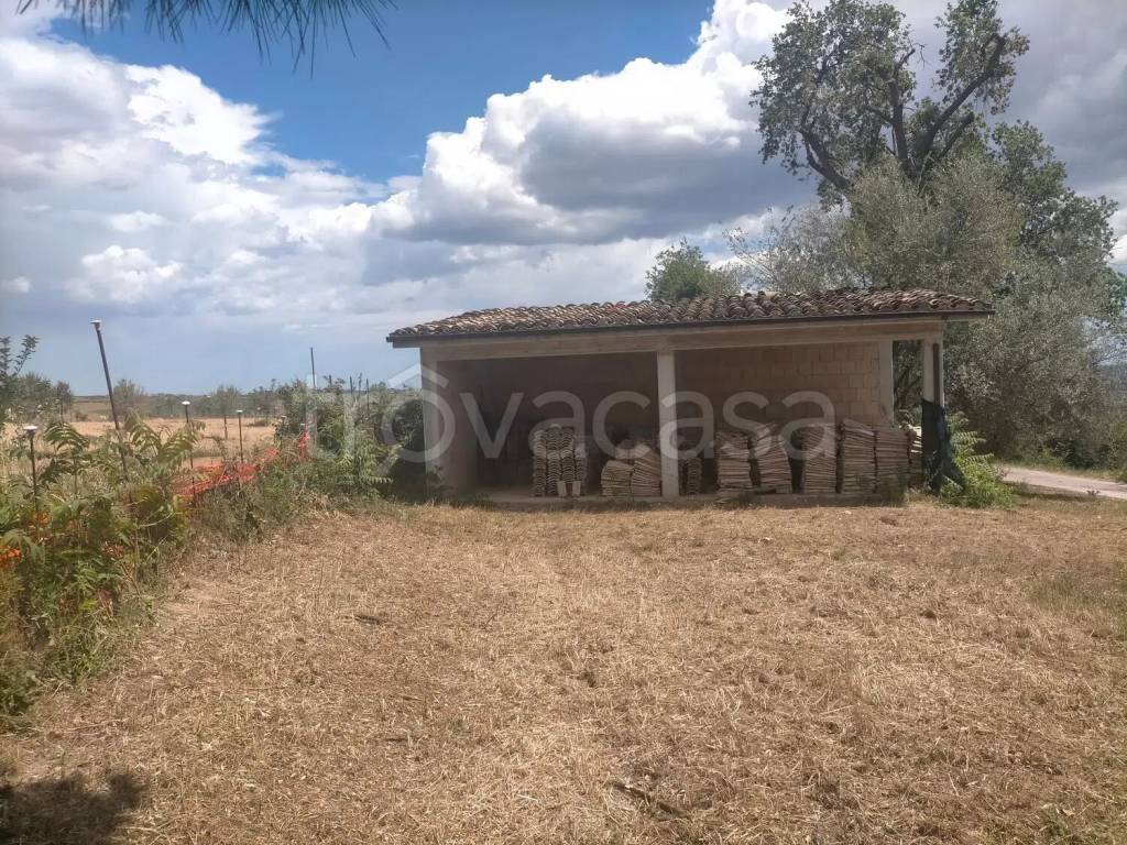 immagine annuncio 6 di 8