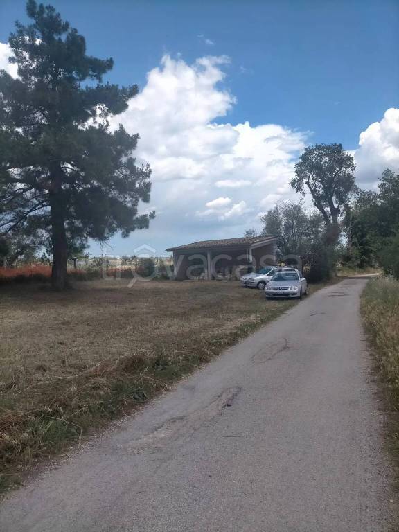 immagine annuncio 7 di 8