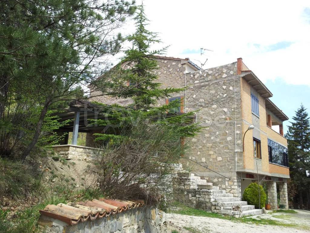 immagine annuncio 1 di 7