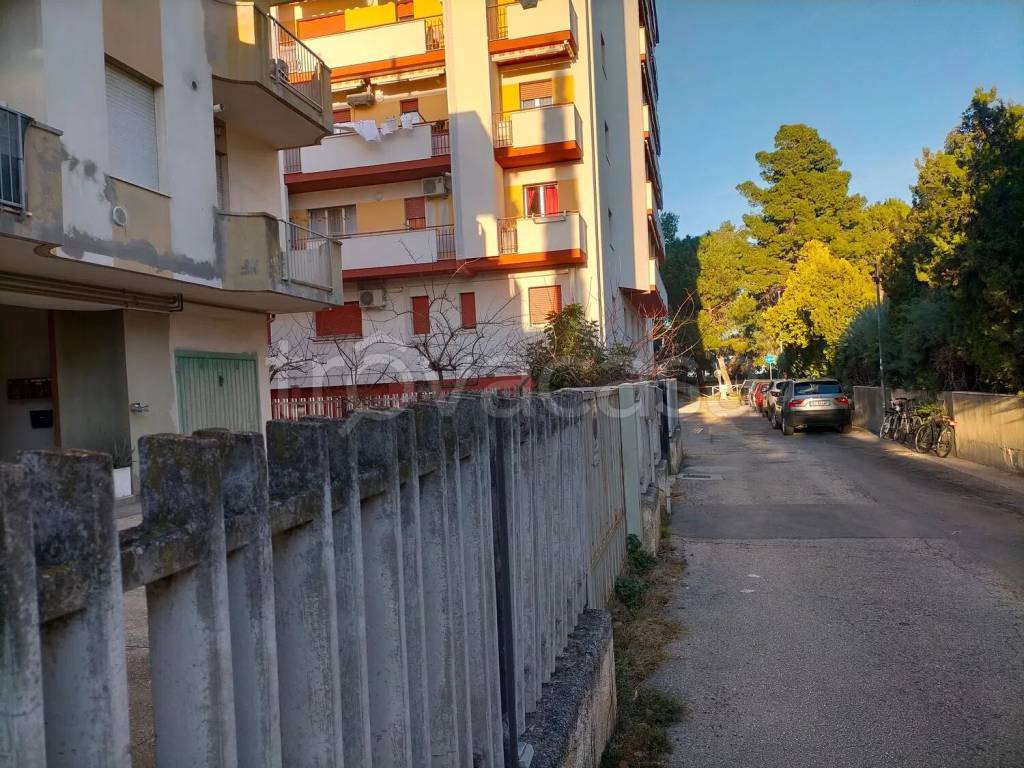 immagine annuncio 3 di 7