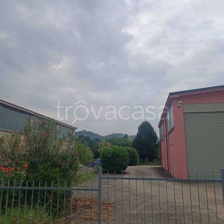 immagine annuncio 2 di 4