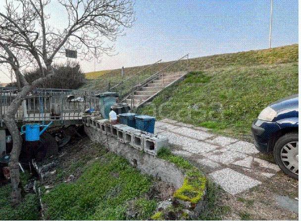 immagine annuncio 6 di 13