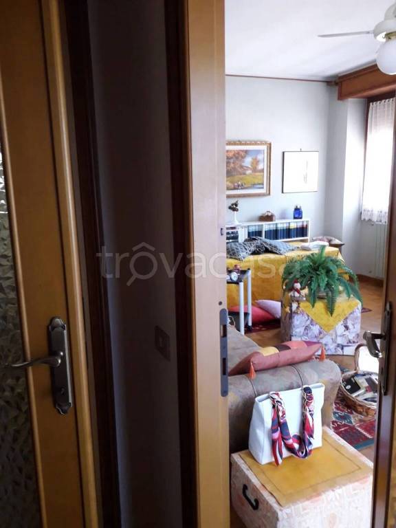 immagine annuncio 6 di 14