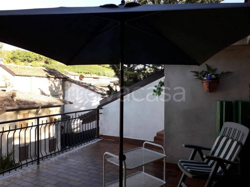 immagine annuncio 12 di 14