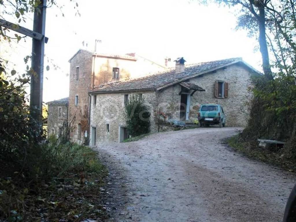 immagine annuncio 4 di 6