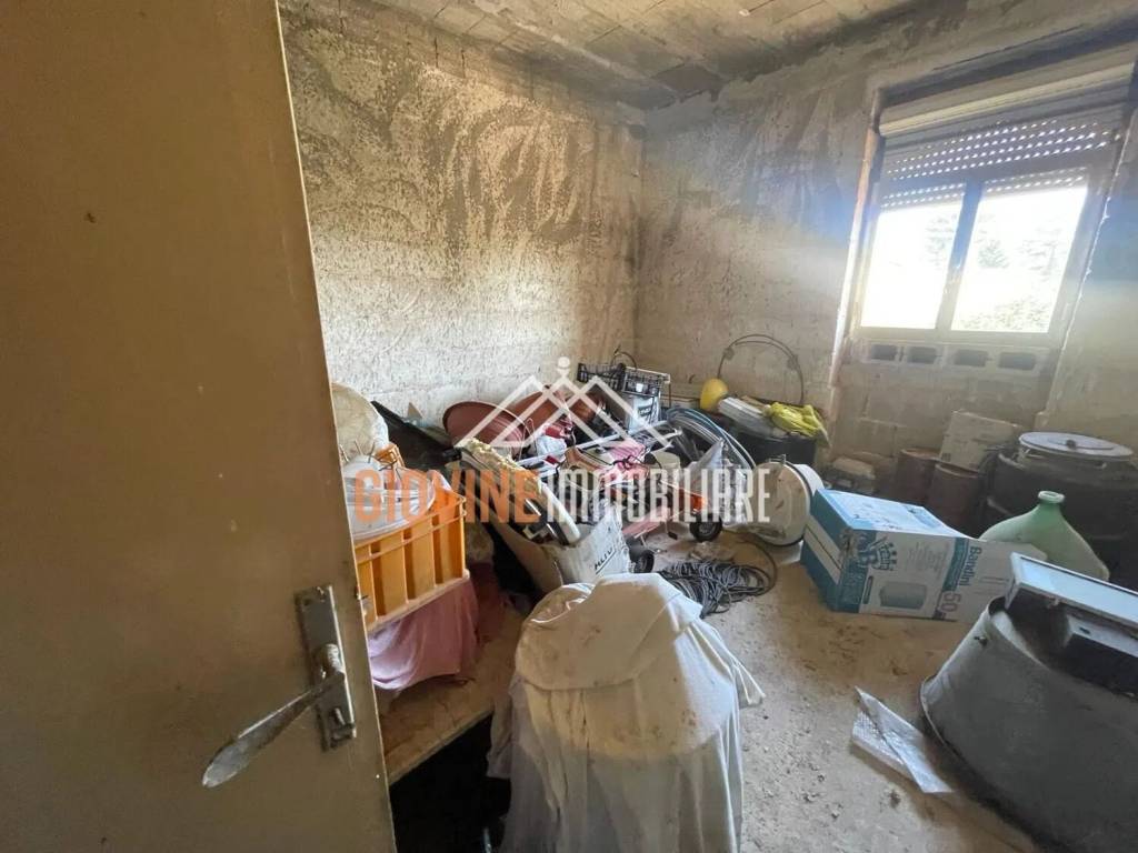 immagine annuncio 9 di 14