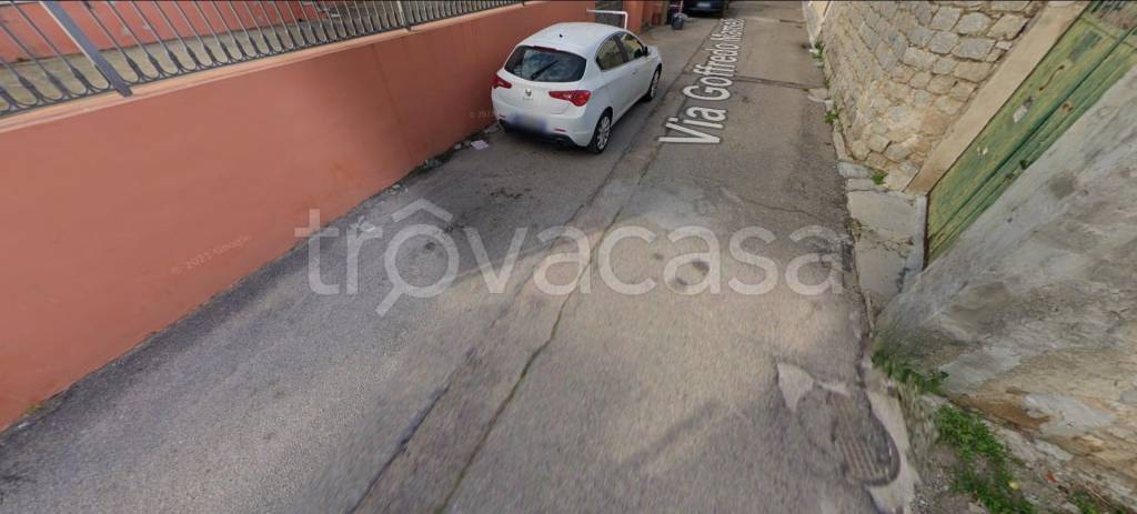 immagine annuncio 11 di 14