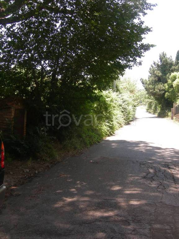 immagine annuncio 4 di 6