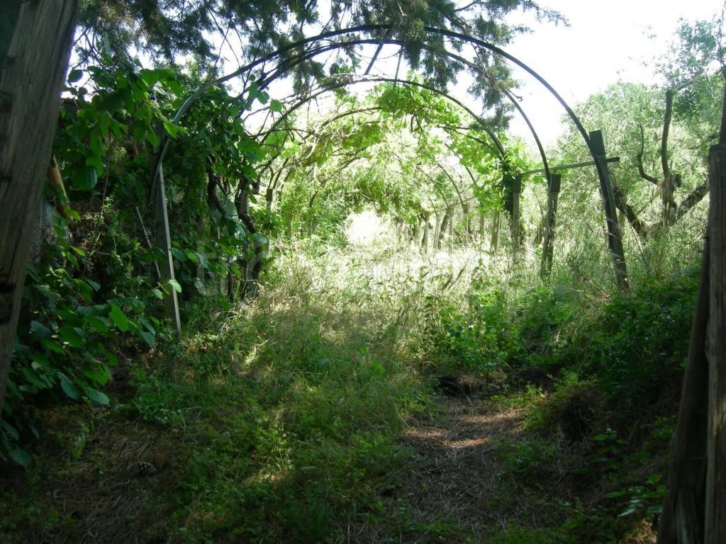 immagine annuncio 5 di 6