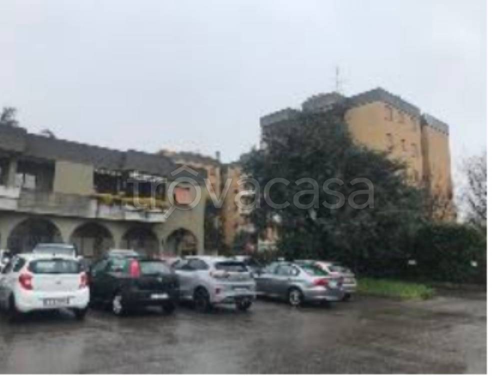immagine annuncio 1 di 12