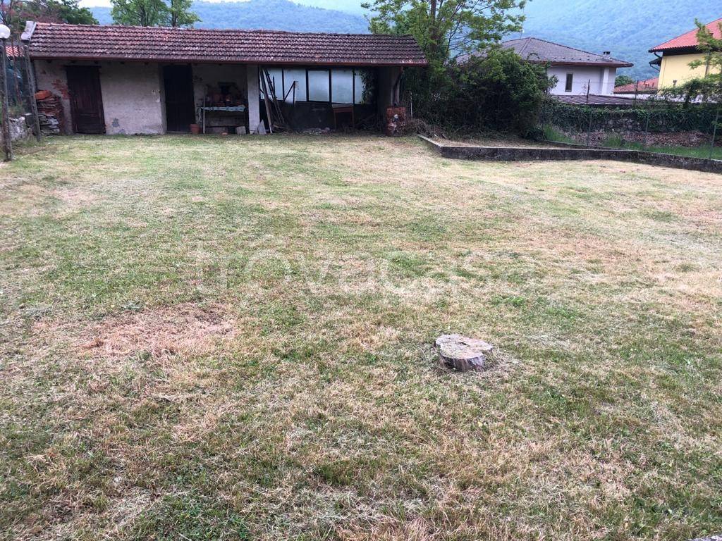 immagine annuncio 4 di 8