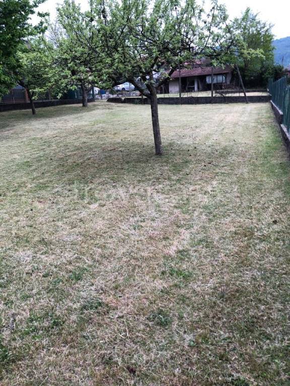 immagine annuncio 5 di 8