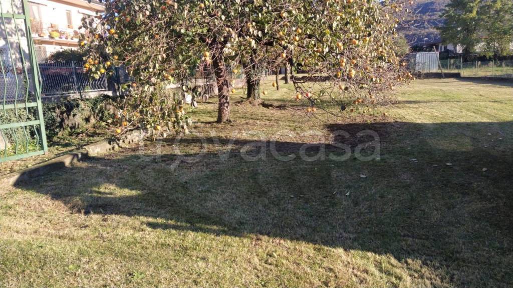 immagine annuncio 3 di 8