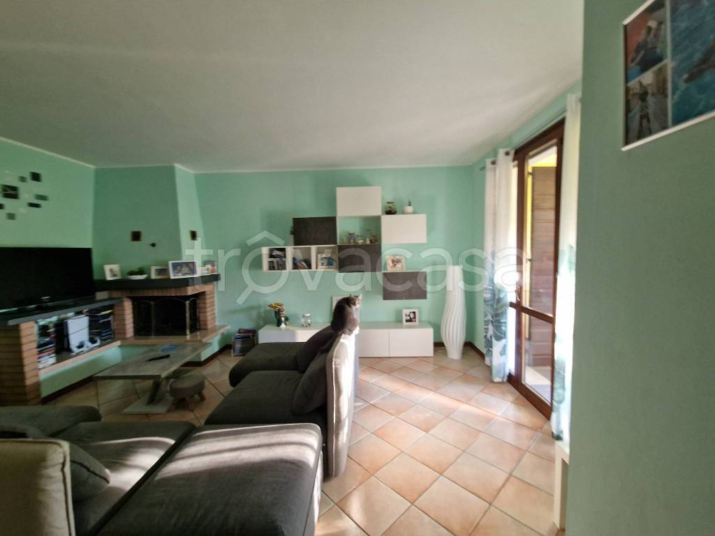 immagine annuncio 8 di 15