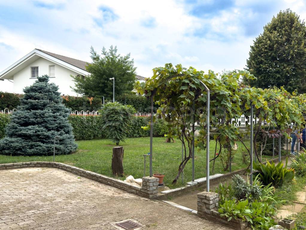 immagine annuncio 11 di 15