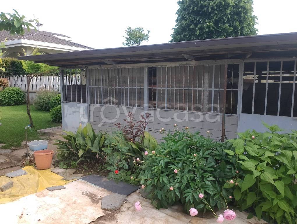 immagine annuncio 10 di 15