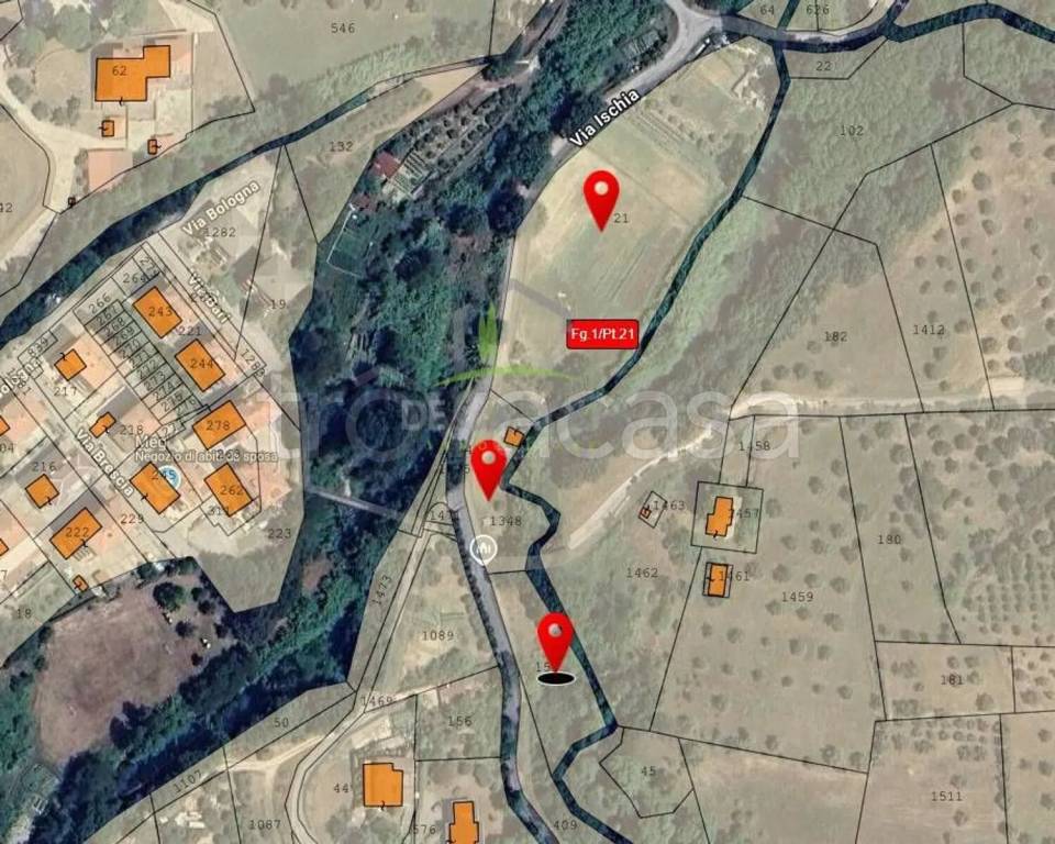 immagine annuncio 3 di 4