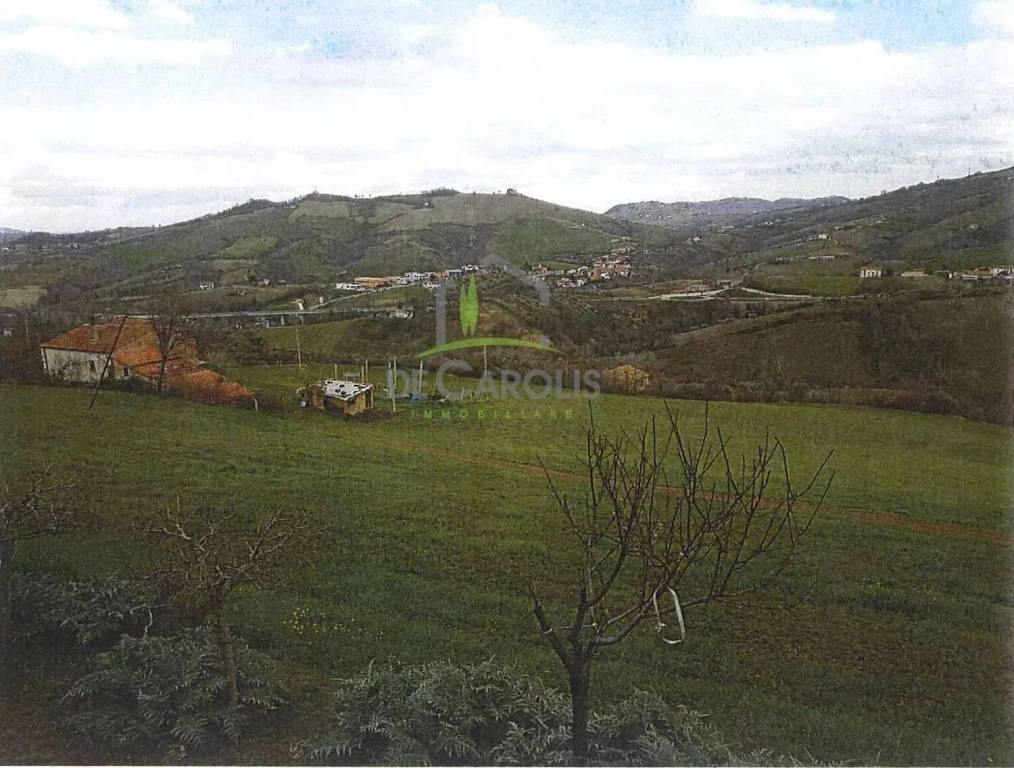 immagine annuncio 2 di 11