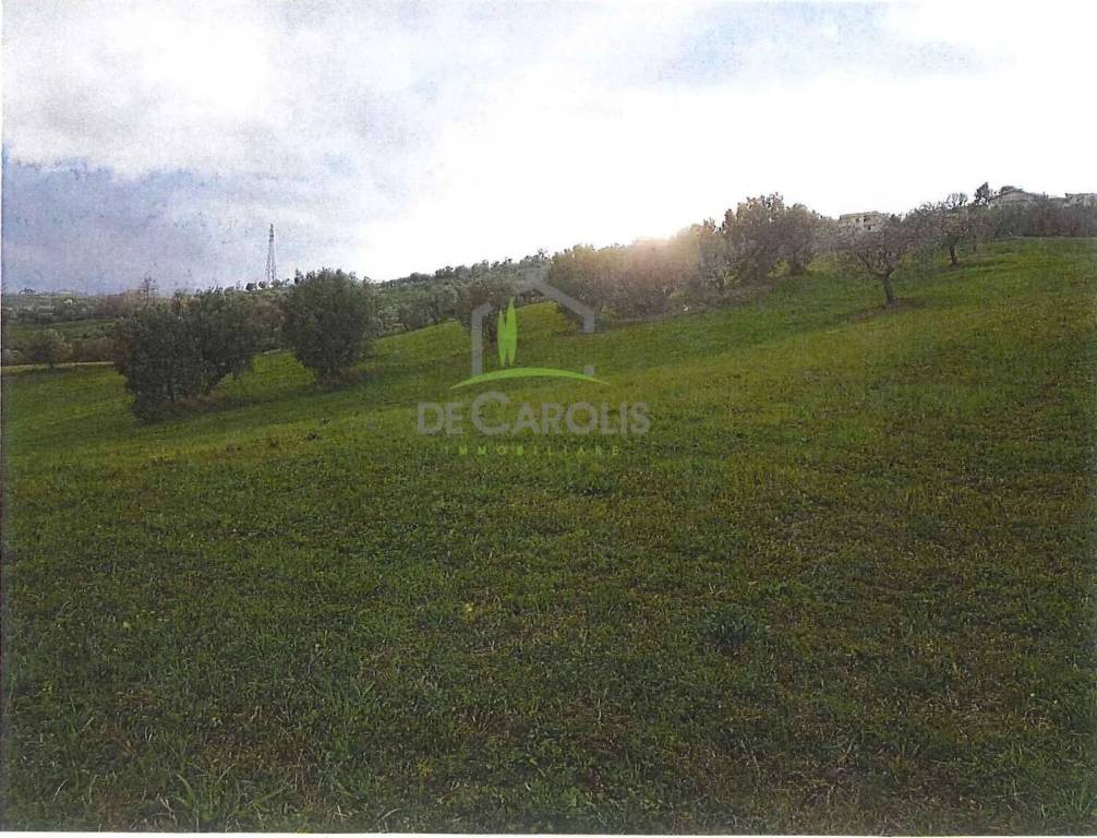 immagine annuncio 4 di 11