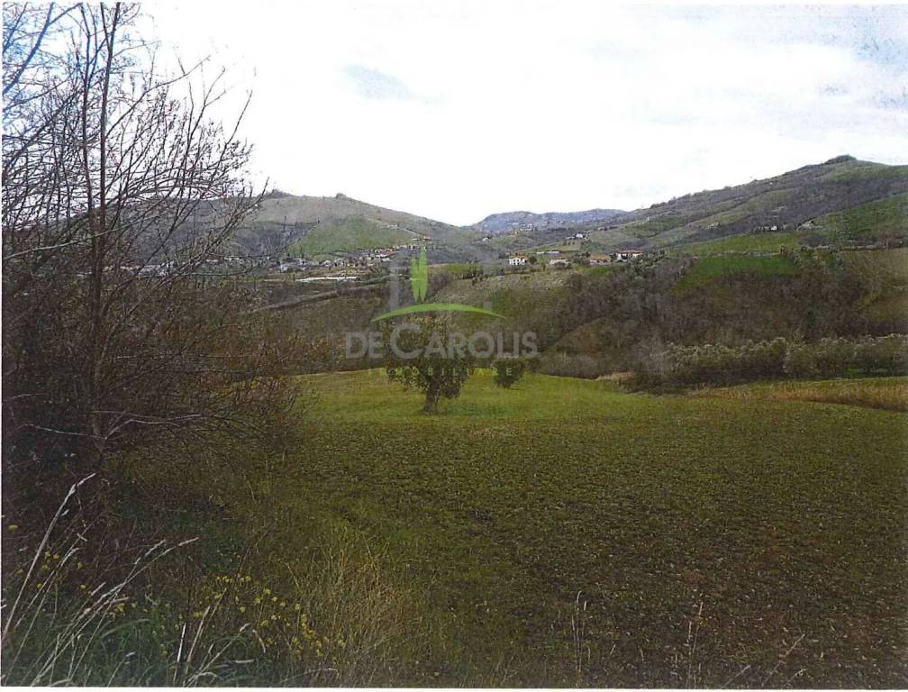 immagine annuncio 5 di 11