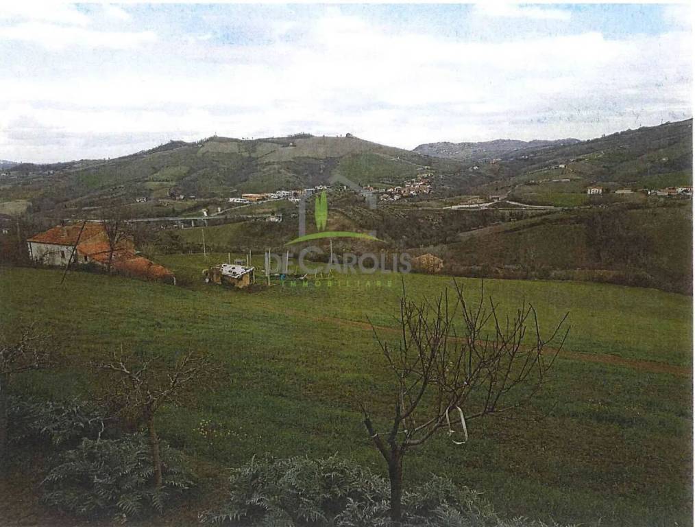 immagine annuncio 6 di 11