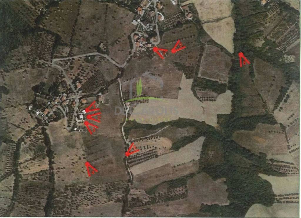 immagine annuncio 10 di 11