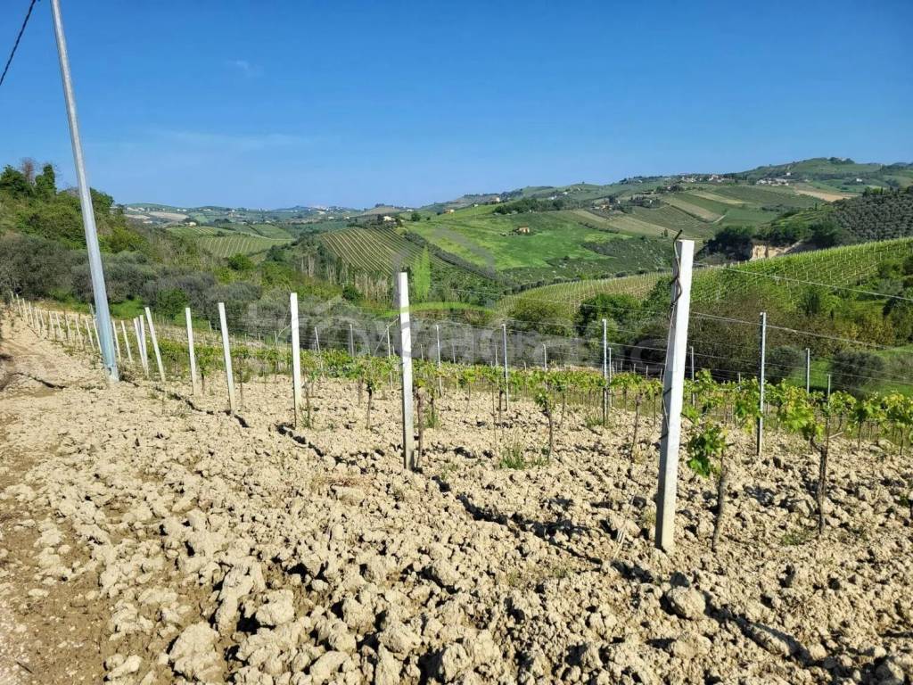 immagine annuncio 7 di 13