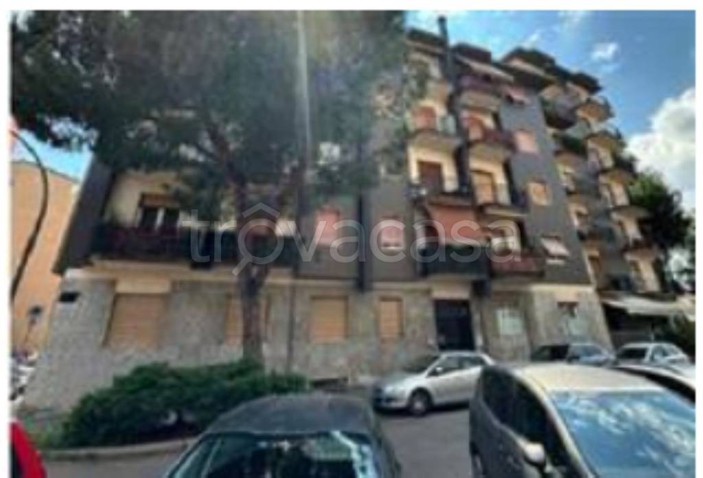 immagine annuncio 2 di 12