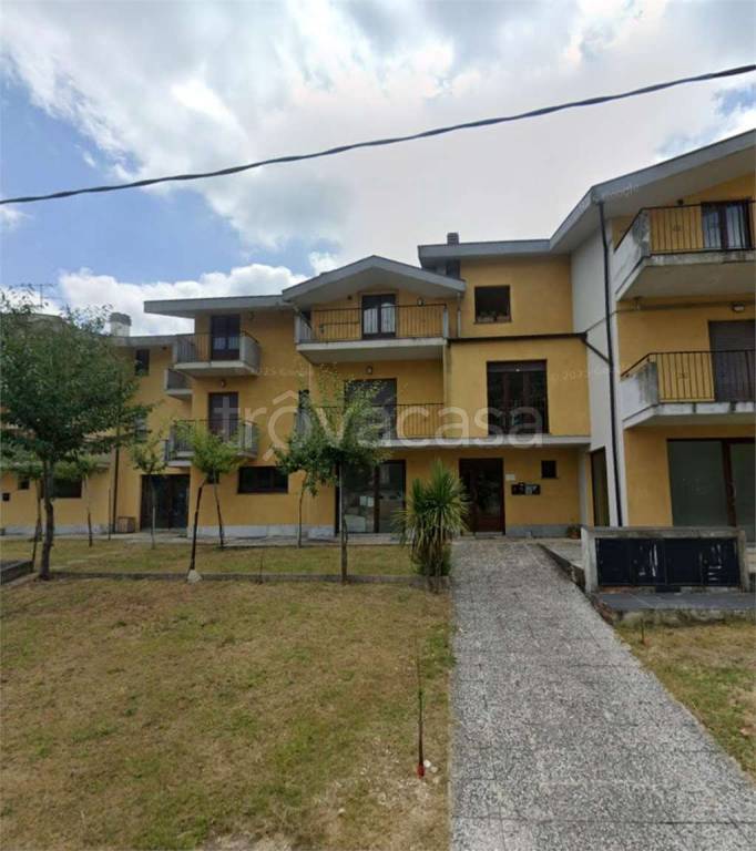 immagine annuncio 5 di 12