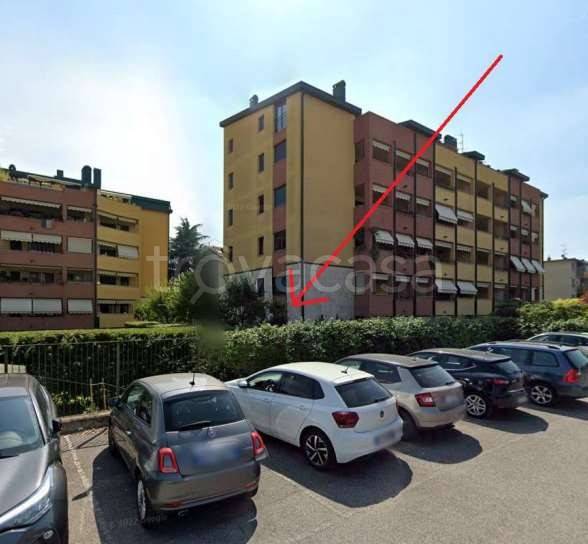 immagine annuncio 1 di 15