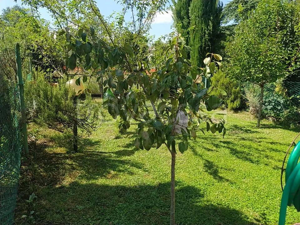 immagine annuncio 8 di 14