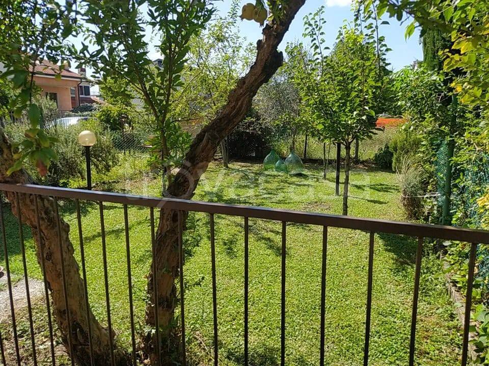immagine annuncio 1 di 14