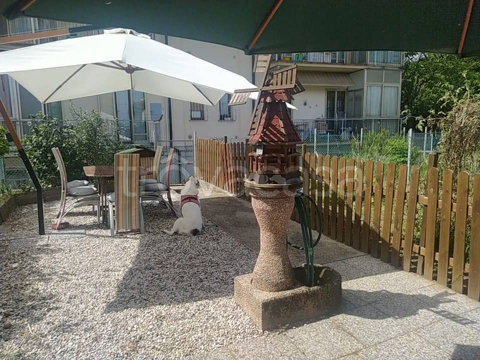 immagine annuncio 3 di 14