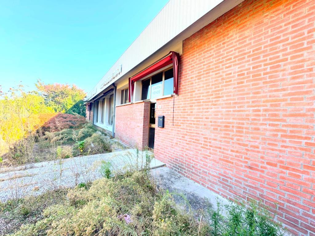 immagine annuncio 5 di 13